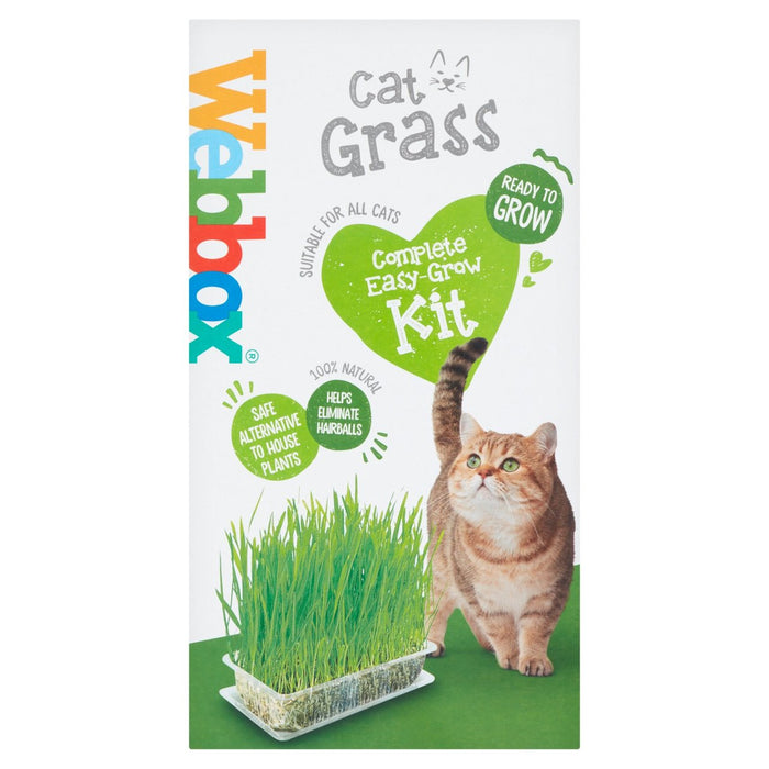 Webbox Cat Grass Complete Easy Grow at Home Kit